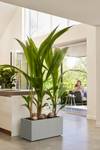 vivo next lang 60cm living beton
